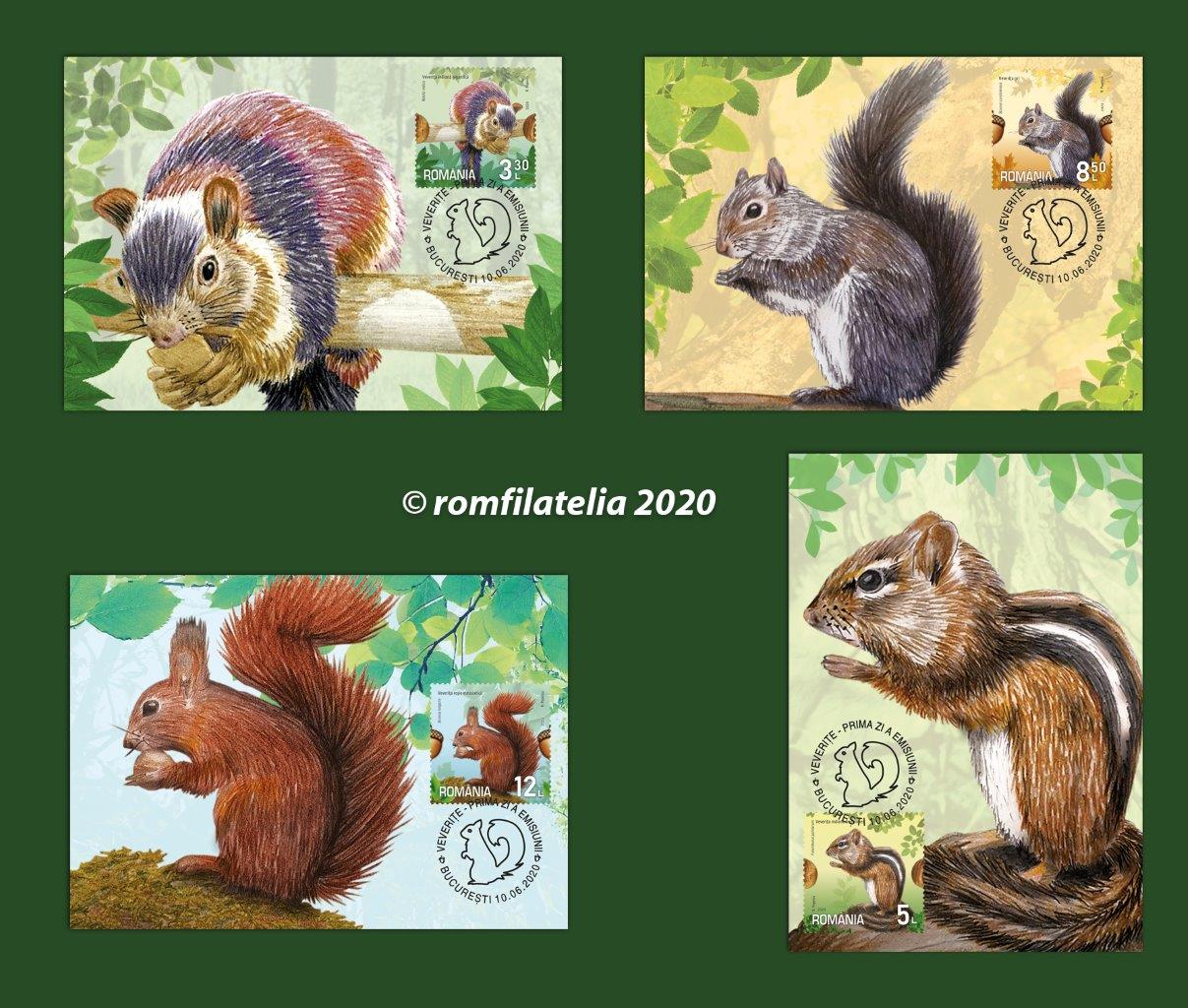 SITE_maxime Veverite