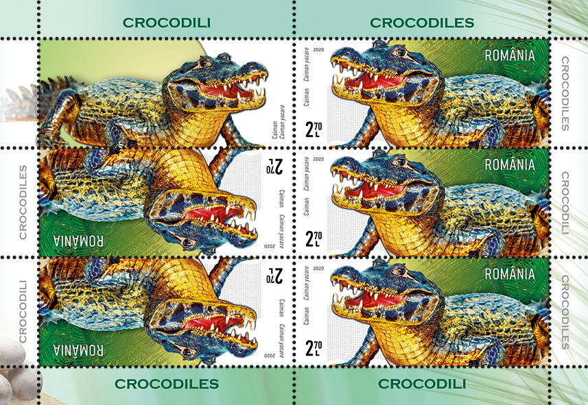 Mc 2_crocodili