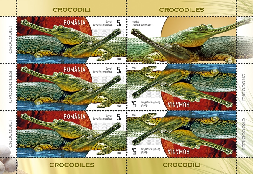 Mc 3_crocodili