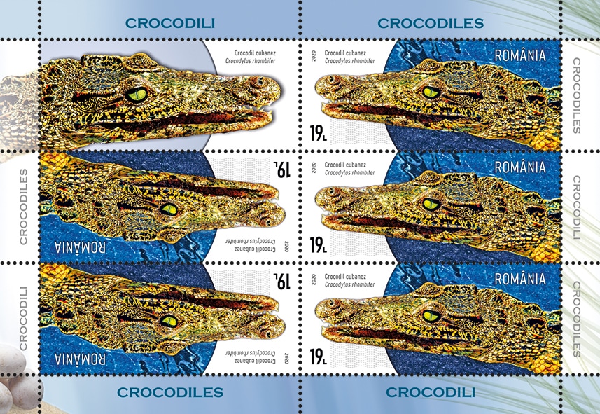 Mc 4_crocodili