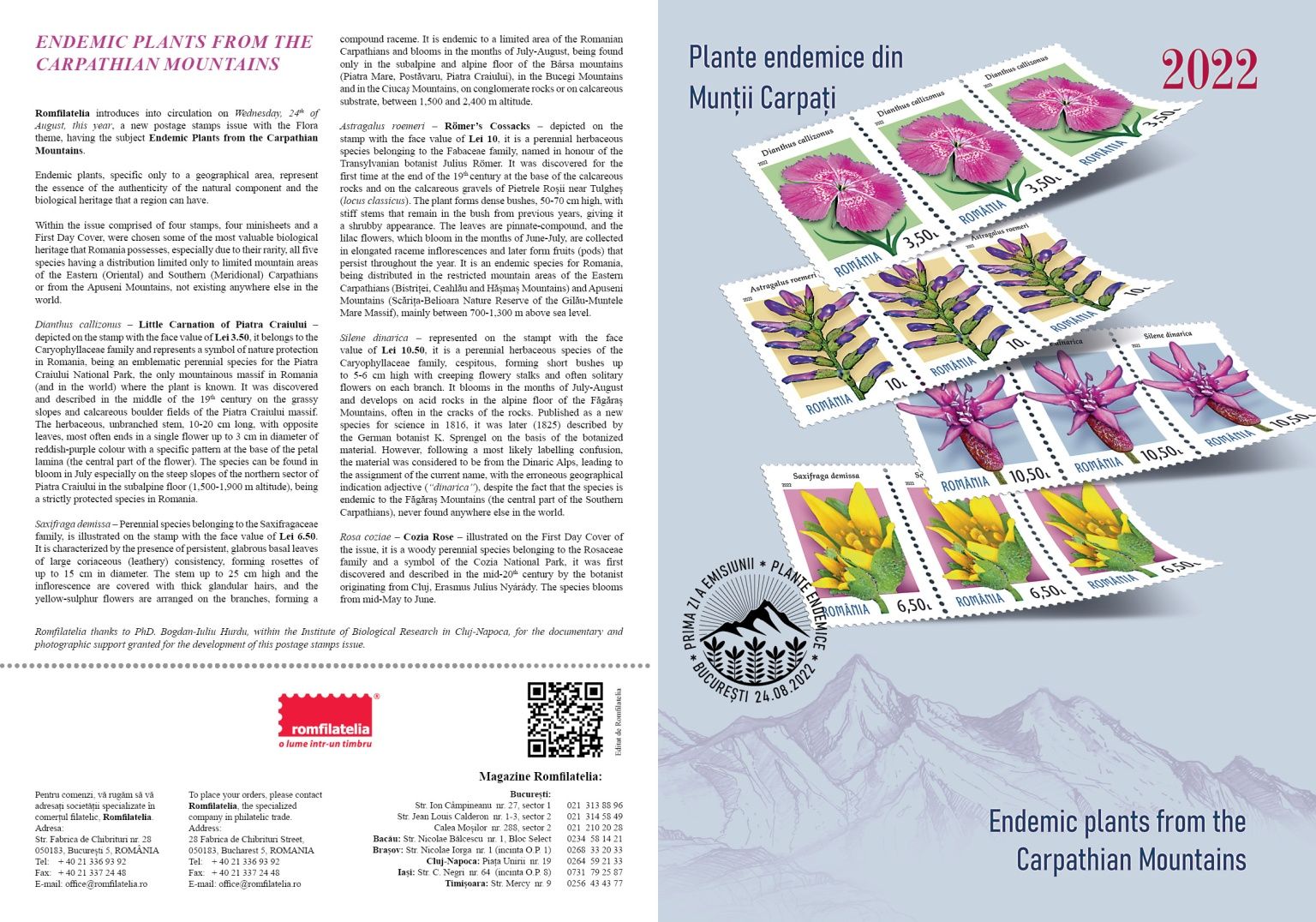 Pliant_Plante endemice din muntii Carpati