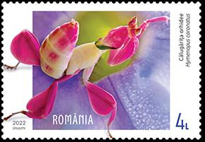 T1_FANTEZIILE_FAUNEI