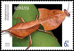 T2_FANTEZIILE_FAUNEI