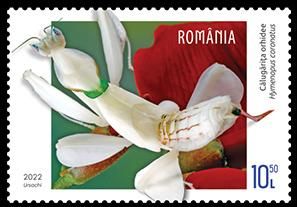 T3_FANTEZIILE_FAUNEI