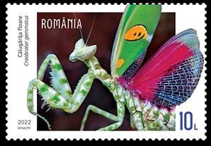 T4_FANTEZIILE_FAUNEI