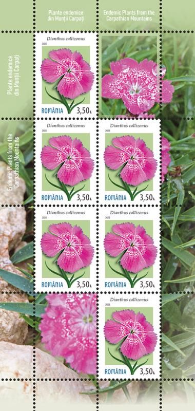 mc1_Endemice_finalizare