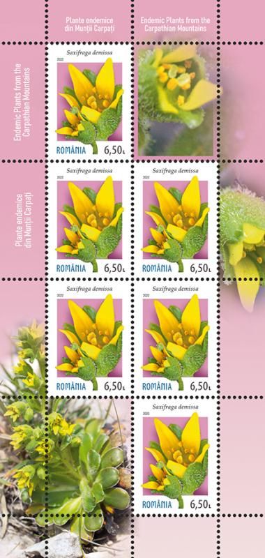 mc2_Endemice_finalizare