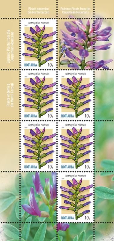 mc3_Endemice_finalizare